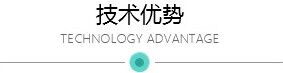 技术优势